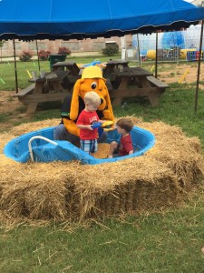 Jug Tavern Festival  (5)