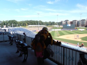 P4Kids Home Run Derby (10)